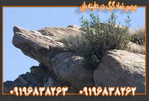 بررسی نماد گرگ در دفینه یابی09196838263