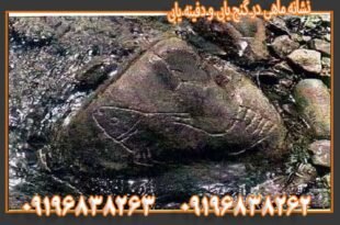 نشانه ماهی در گنج یابی و دفینه یابی 09196838263
