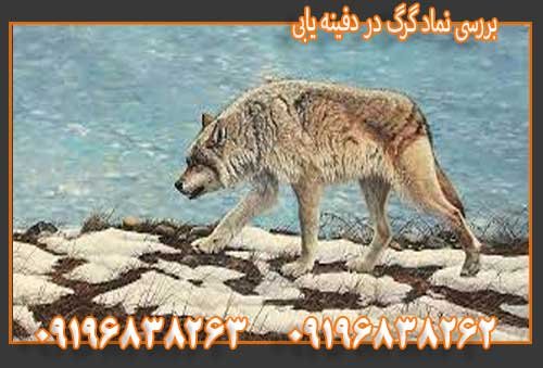 بررسی نماد گرگ در دفینه یابی09196838263