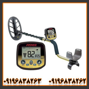 فلزیاب فیشر گلد باگ