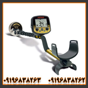 فلزیاب فیشر گلد باگ