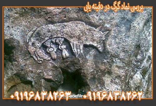 بررسی نماد گرگ در دفینه یابی09196838263