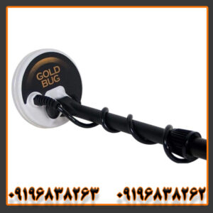 فلزیاب فیشر گلد باگ