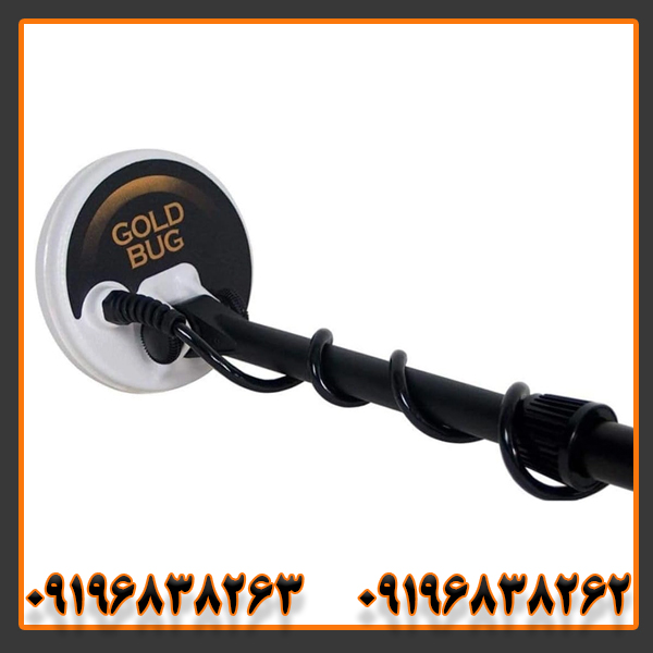 فلزیاب فیشر گلد باگ