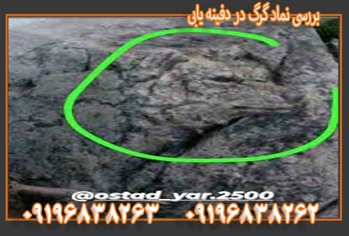 بررسی نماد گرگ در دفینه یابی09196838263