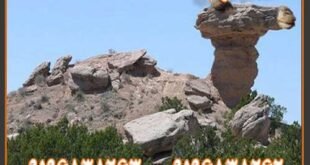 نماد شتر در گنج یابی 09196838263