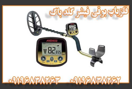 فلزیاب بوقی فیشر گلد باگ
