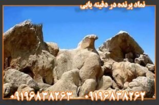 نماد پرنده در دفینه یابی 09196838263